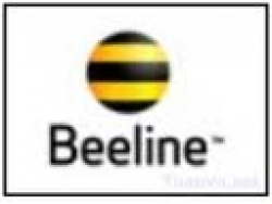 Beeline 100K