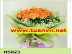 HSN23